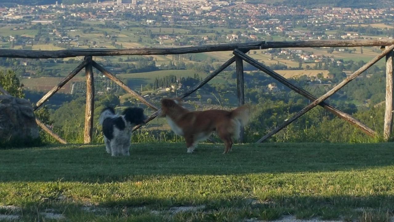 Agriturismo Countryhouse Le Giare Gubbio Eksteriør billede
