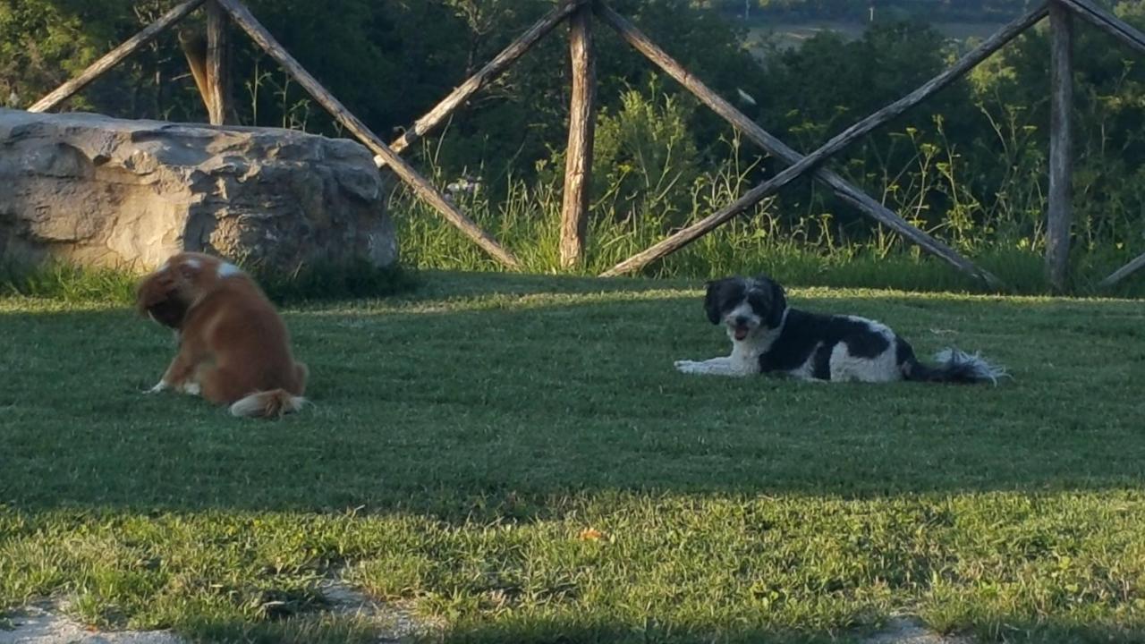 Agriturismo Countryhouse Le Giare Gubbio Eksteriør billede